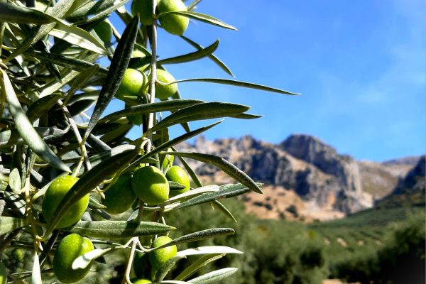 photo_2025-10-03_13-11-10